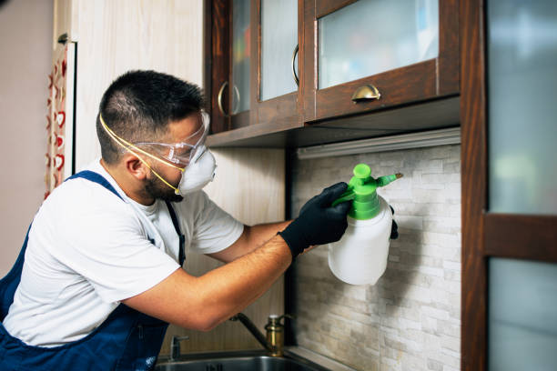Best Affordable Pest Control Services  in Siler City, NC
