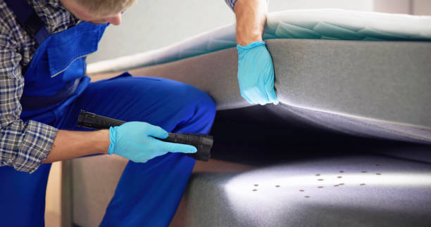 Best Emergency Pest Control  in Siler City, NC