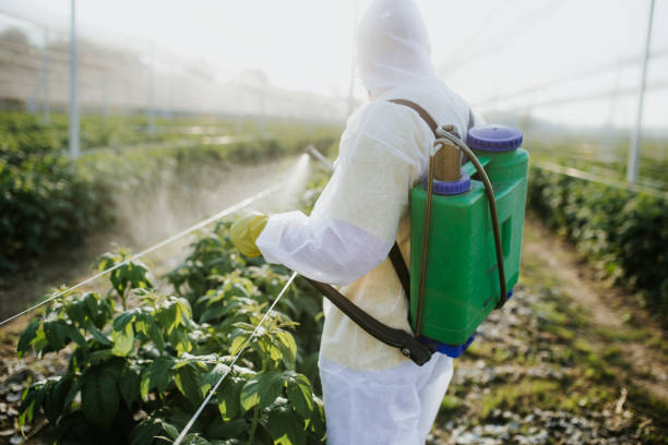 Trusted Siler City, NC Pest Control Experts